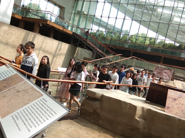 TIM图片20190425190150.jpg TIM图片20190425190150.jpg