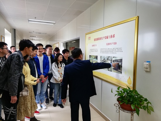 IMG_20191102_105608.jpg IMG_20191102_105608.jpg